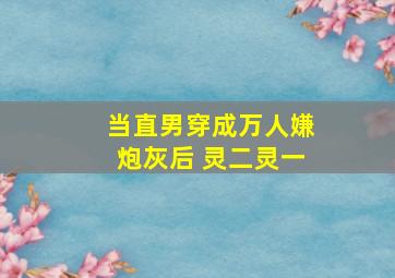 当直男穿成万人嫌炮灰后 灵二灵一